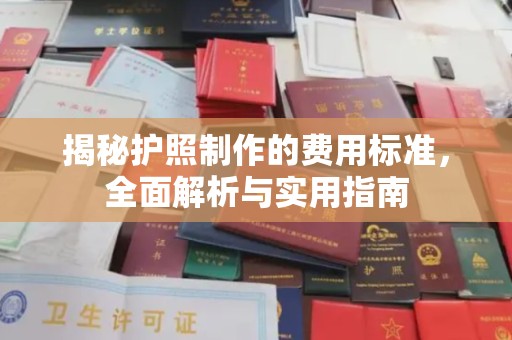 北仑揭秘护照制作的费用标准，全面解析与实用指南