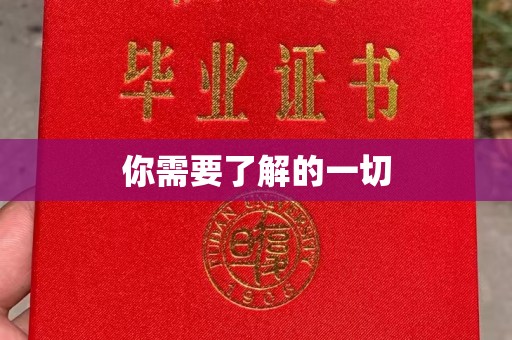 北仑你需要了解的一切